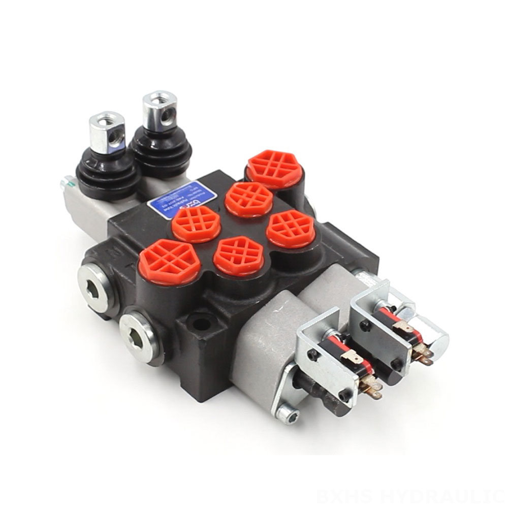 P40 Micro Switch Manual 2 Spool Monoblock Directional Valve image