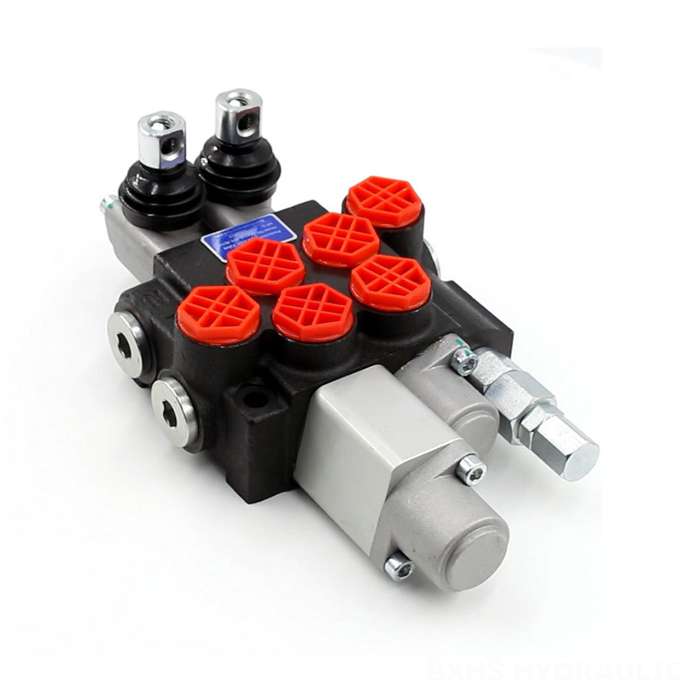 P40A Manual 2 Spool Monoblock Directional Valve image
