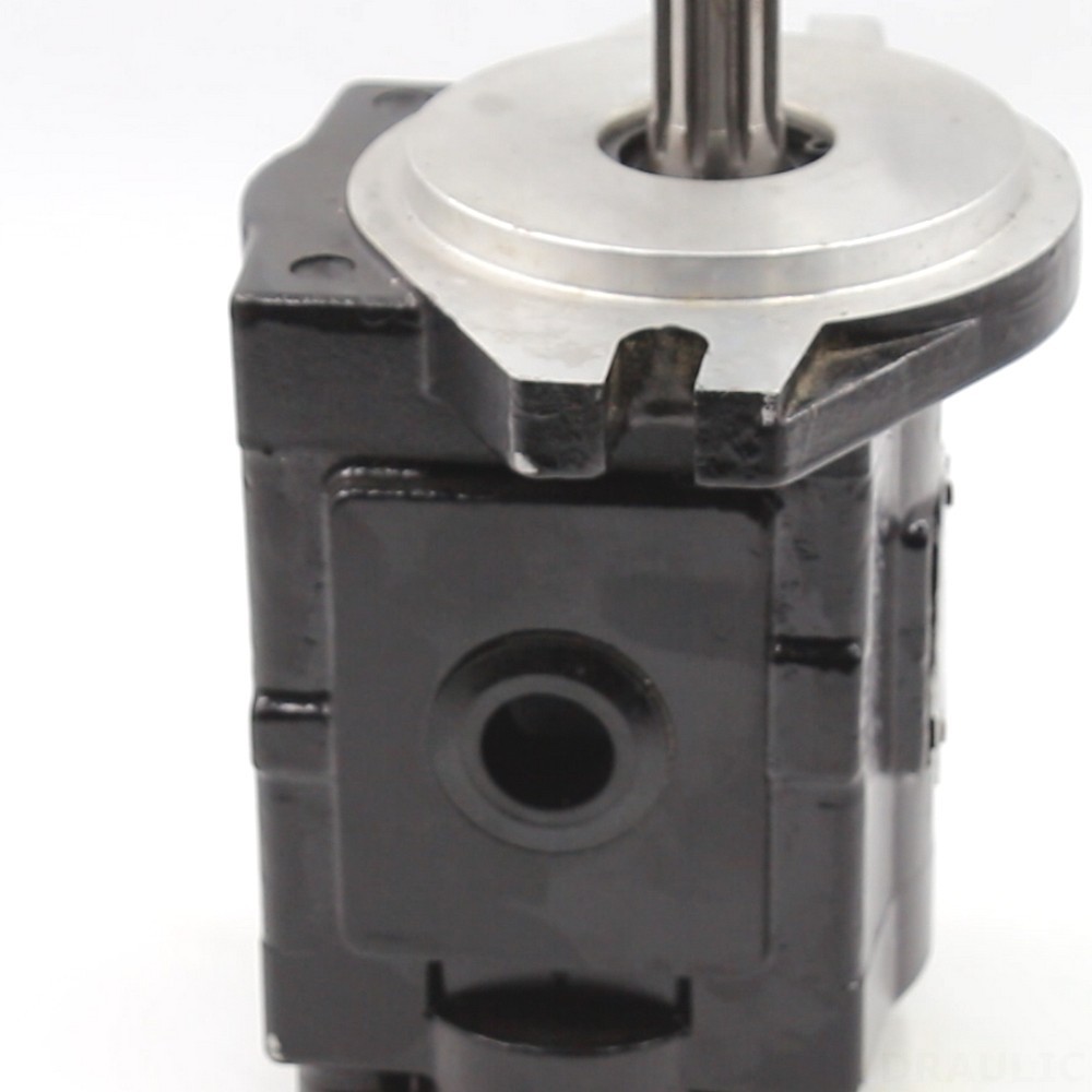 CBHS-C20 20 cc/rev Hydraulic Gear Pump detail image