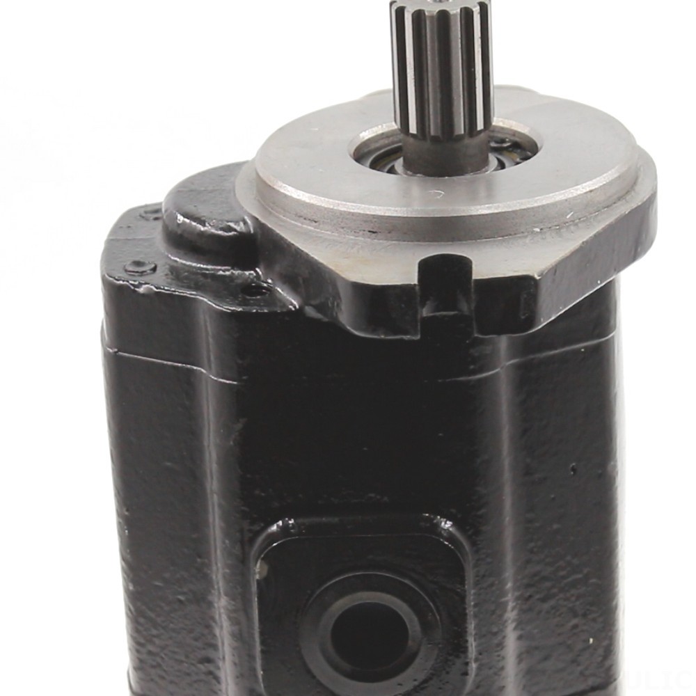 CBHS-F420 20 cc/rev Hydraulic Gear Pump detail image
