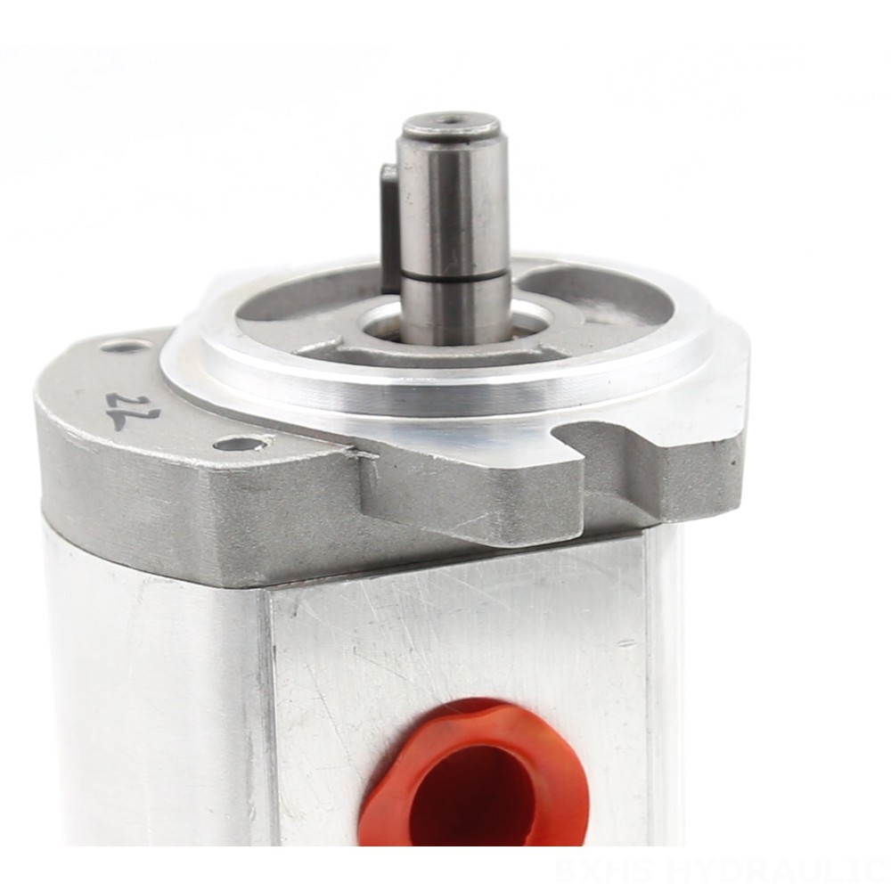 CBHS-FL304 4 cc/rev Hydraulic Gear Pump detail image